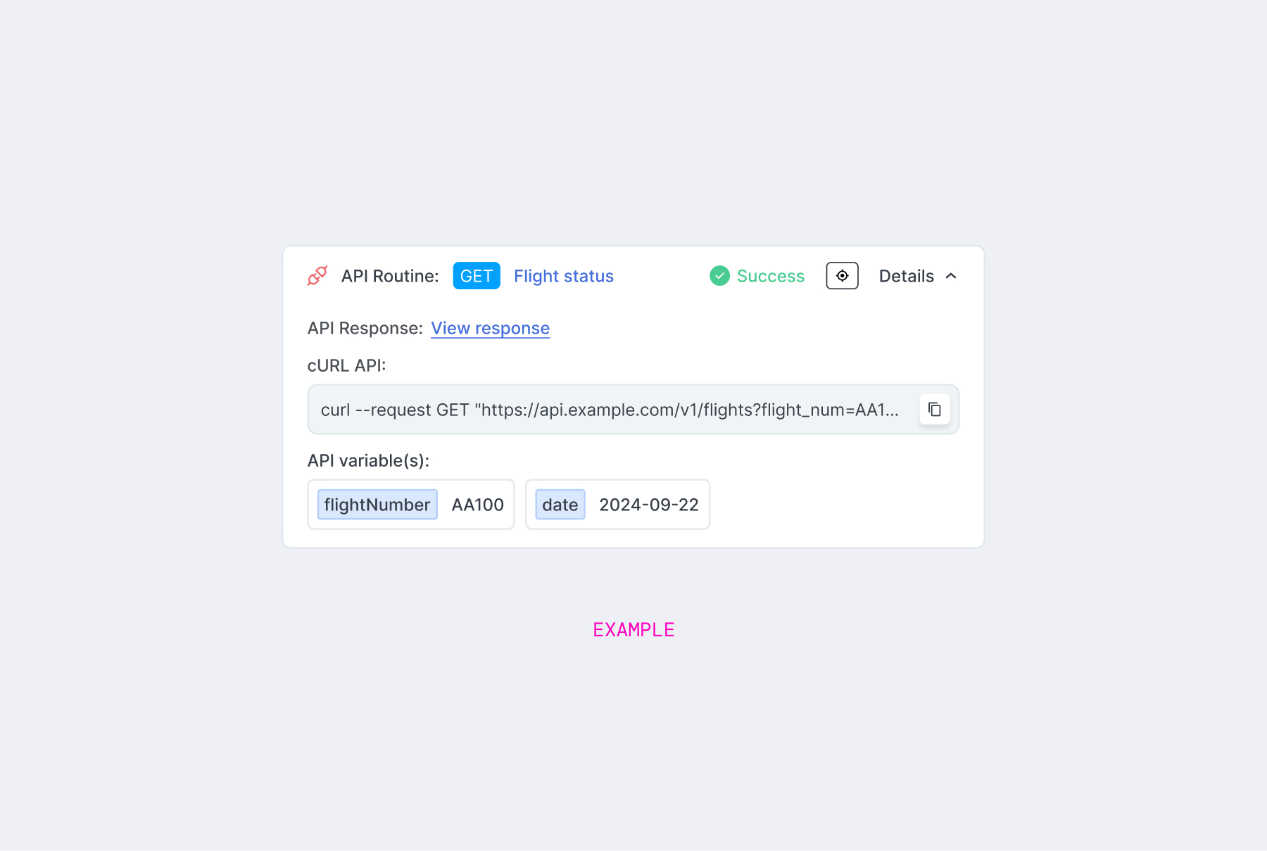 Expanded view of an API call within the chat stream